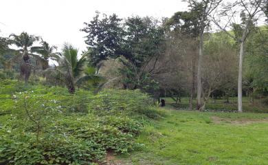 Sítio, 3 quartos, 19 hectares - Foto 8