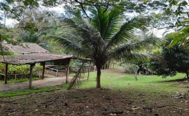 Sítio, 3 quartos, 19 hectares - Foto 11