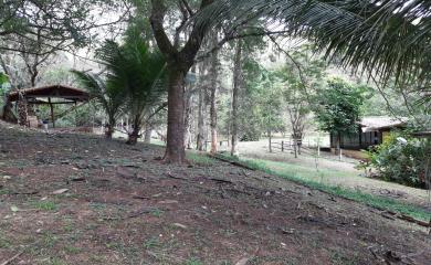 Sítio, 3 quartos, 19 hectares - Foto 10