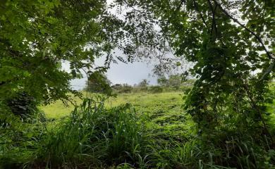 Sítio, 3 quartos, 19 hectares - Foto 12