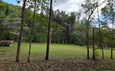 Sítio, 3 quartos, 19 hectares - Foto 13