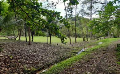 Sítio, 3 quartos, 19 hectares - Foto 15