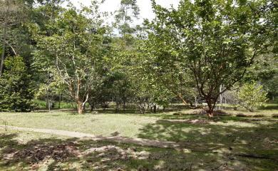 Sítio, 3 quartos, 19 hectares - Foto 19