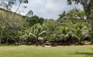 Sítio, 3 quartos, 19 hectares - Foto 18