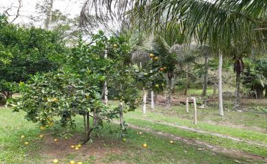 Sítio, 3 quartos, 19 hectares - Foto 23