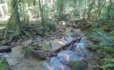 Sítio, 2 quartos, 8 hectares - Foto 12