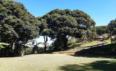 Sítio, 2 quartos, 8 hectares - Foto 10