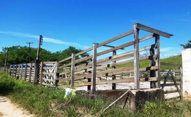 Sítio, 5 quartos, 33 hectares - Foto 6