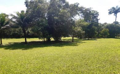 Sítio, 5 quartos, 33 hectares - Foto 5