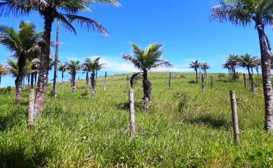 Sítio, 5 quartos, 33 hectares - Foto 10