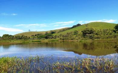 Sítio, 5 quartos, 33 hectares - Foto 3