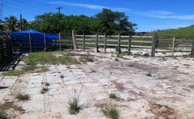 Sítio, 5 quartos, 33 hectares - Foto 8