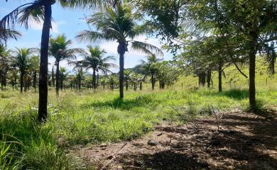 Sítio, 5 quartos, 33 hectares - Foto 15