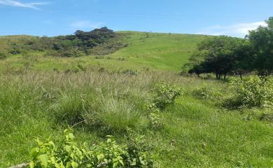 Sítio, 5 quartos, 33 hectares - Foto 14