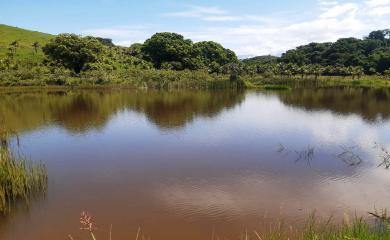 Sítio, 5 quartos, 33 hectares - Foto 11