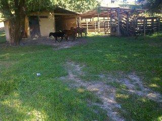 Sítio, 3 quartos, 17 hectares - Foto 3