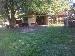 Sítio, 3 quartos, 17 hectares - Foto 4