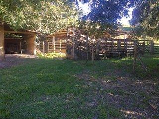 Sítio, 3 quartos, 17 hectares - Foto 5