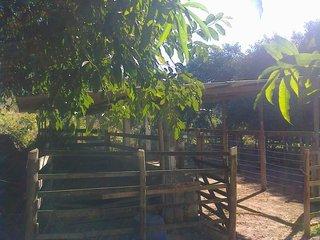 Sítio, 3 quartos, 17 hectares - Foto 9