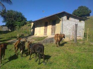 Sítio, 3 quartos, 17 hectares - Foto 10