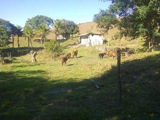 Sítio, 3 quartos, 17 hectares - Foto 14