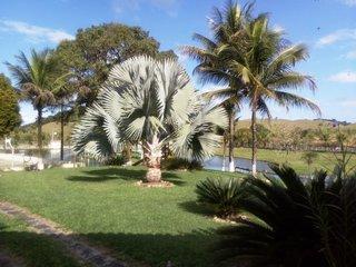 Fazenda, 43 m² - Foto 4