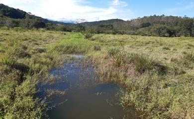 Fazenda, 53 m² - Foto 8