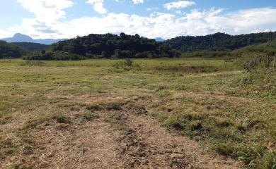 Fazenda, 53 m² - Foto 7