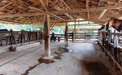 Fazenda, 159 m² - Foto 7