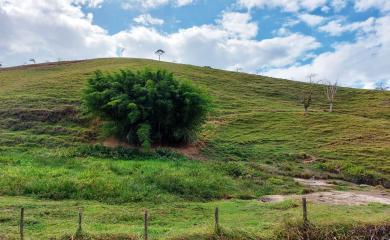 Fazenda, 159 m² - Foto 11