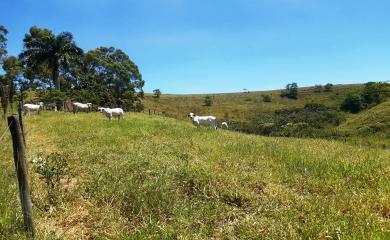 Fazenda, 82 m² - Foto 18