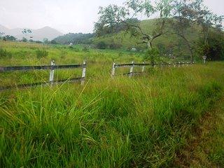 Fazenda, 140 m² - Foto 9