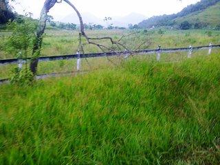 Fazenda, 140 m² - Foto 10