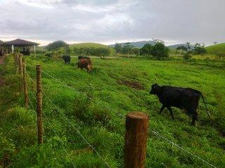 Fazenda, 140 m² - Foto 21