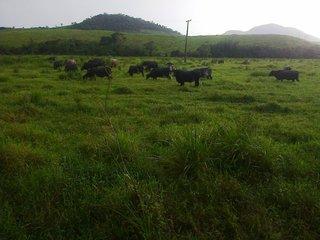 Fazenda, 140 m² - Foto 25