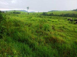 Fazenda, 140 m² - Foto 26