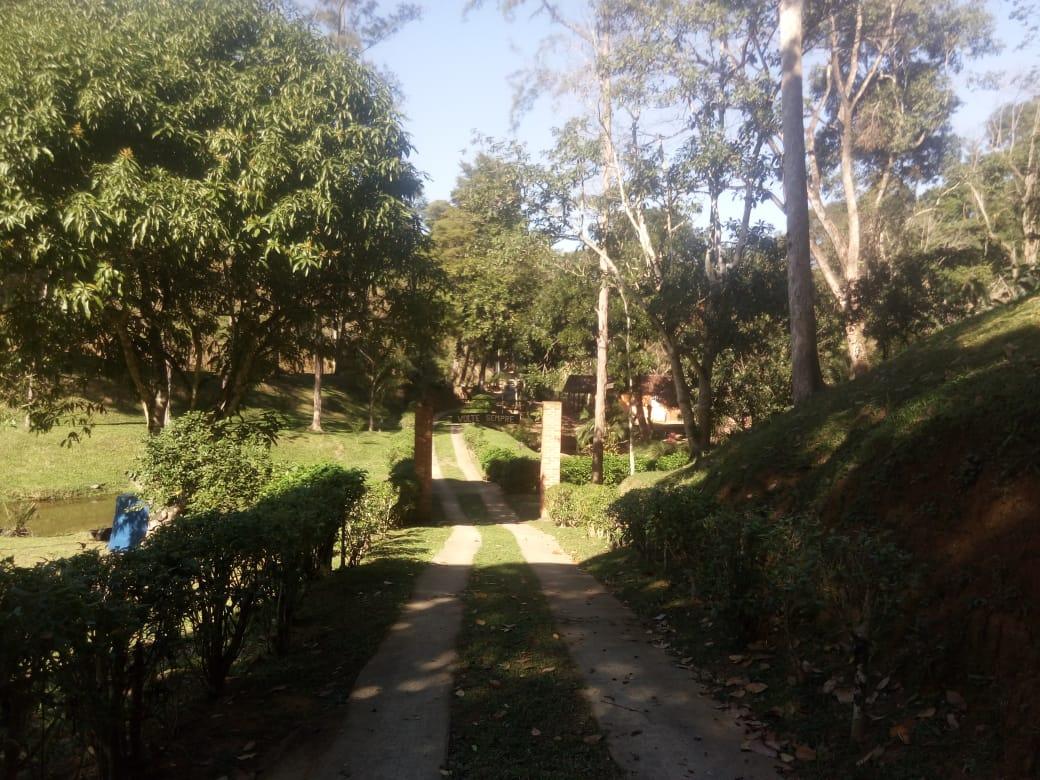 Sítio, 4 quartos, 24 hectares - Foto 21