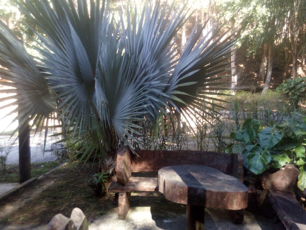 Sítio, 4 quartos, 24 hectares - Foto 28