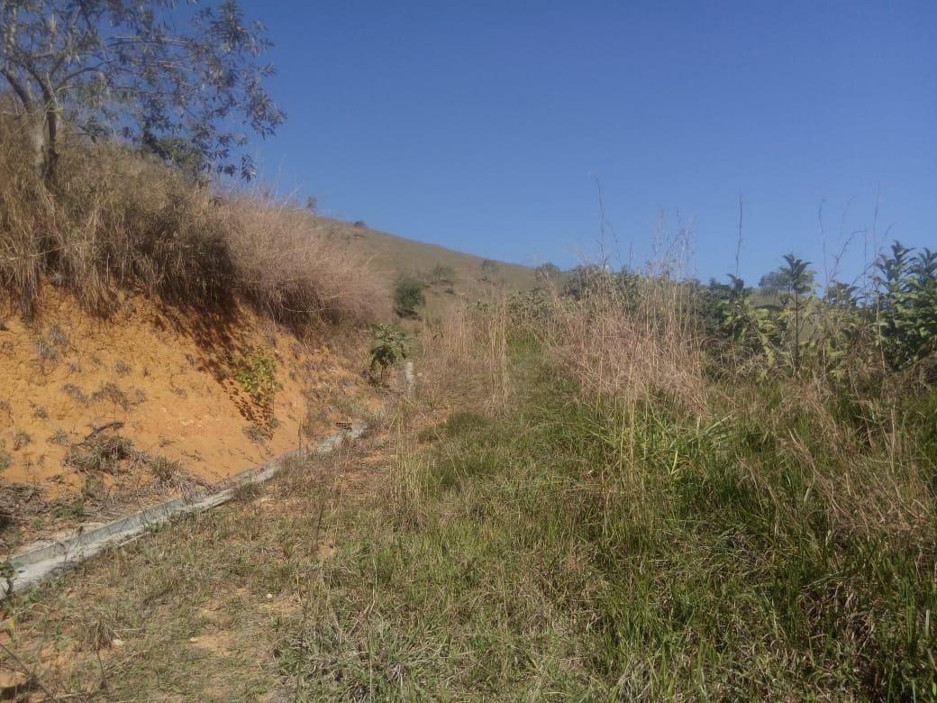 Sítio, 7 hectares - Foto 3