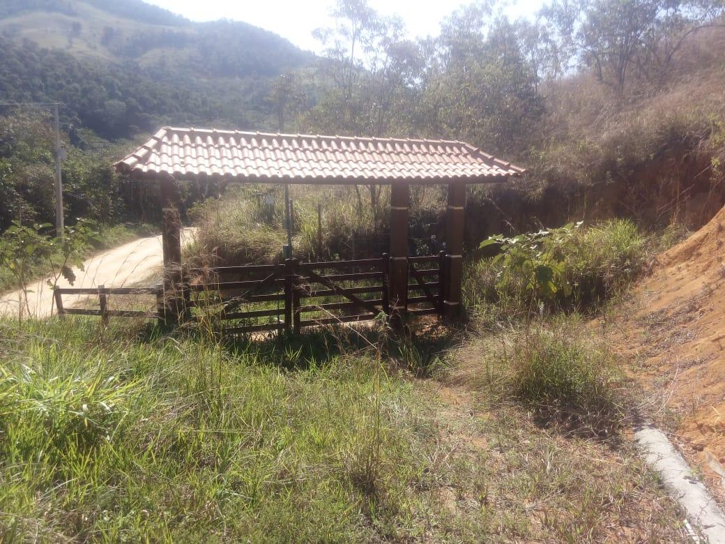 Sítio, 7 hectares - Foto 4