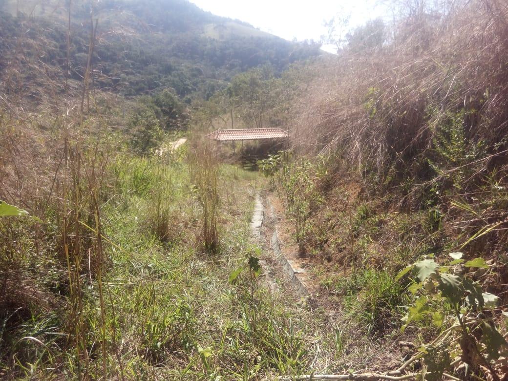 Sítio, 7 hectares - Foto 7