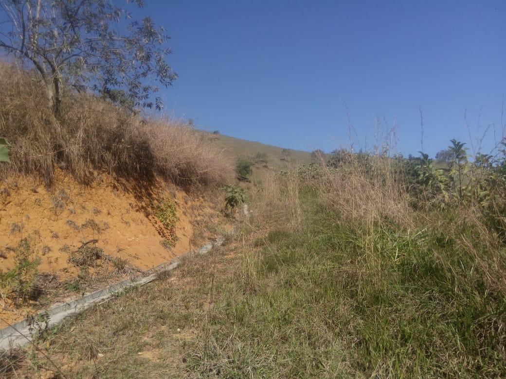 Sítio, 7 hectares - Foto 10