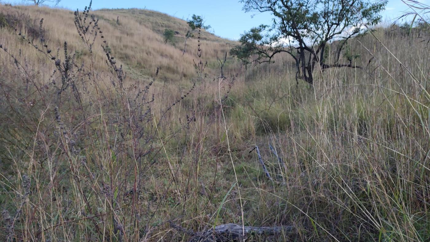 Terreno, 3555 m² - Foto 2