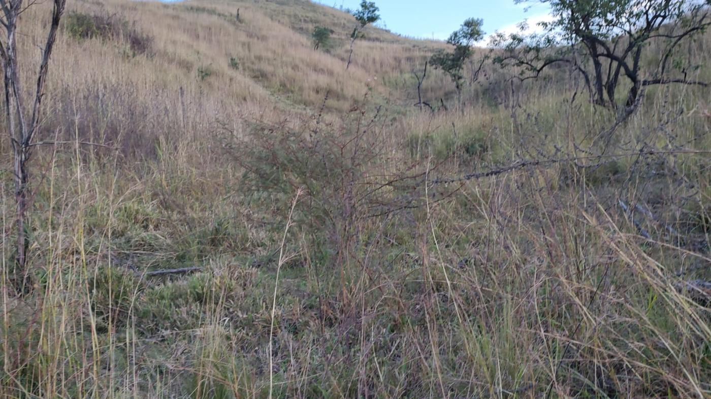 Terreno, 3555 m² - Foto 3