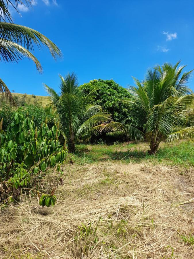 Sítio, 1 quarto, 2 hectares - Foto 2