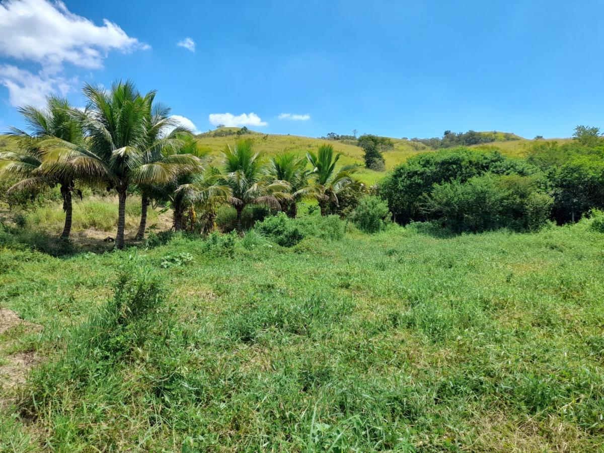 Sítio, 1 quarto, 2 hectares - Foto 7