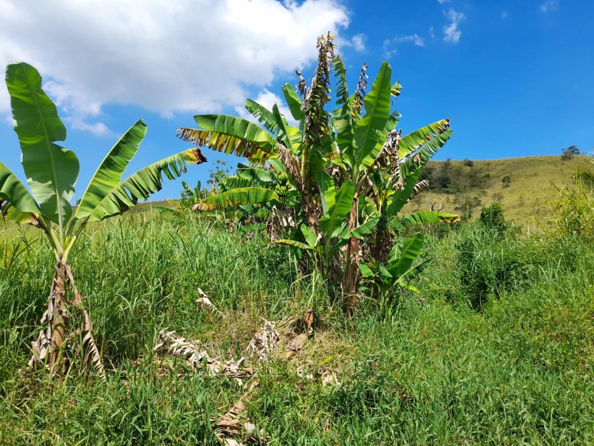 Sítio, 1 quarto, 2 hectares - Foto 10