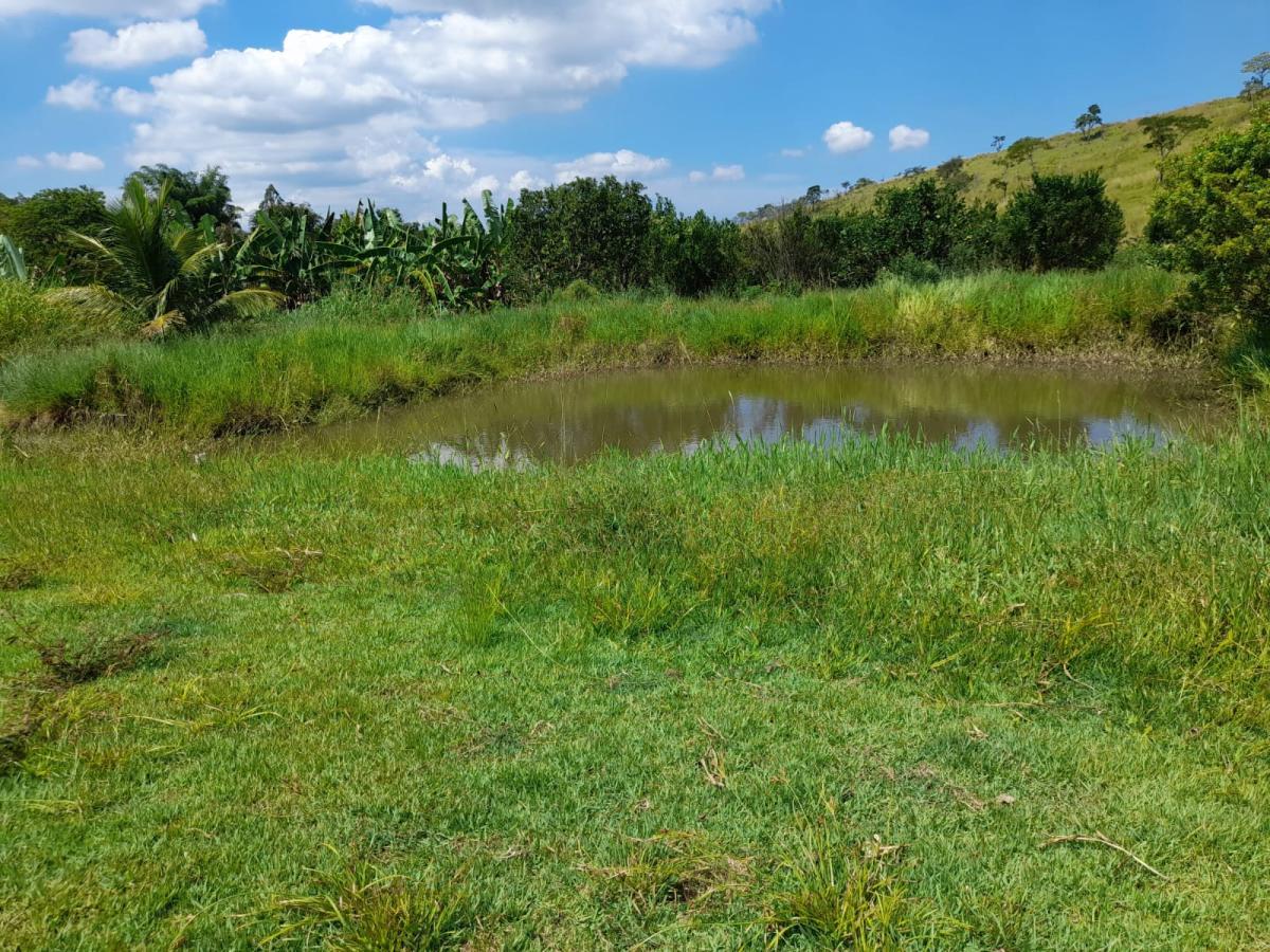 Sítio, 1 quarto, 2 hectares - Foto 12