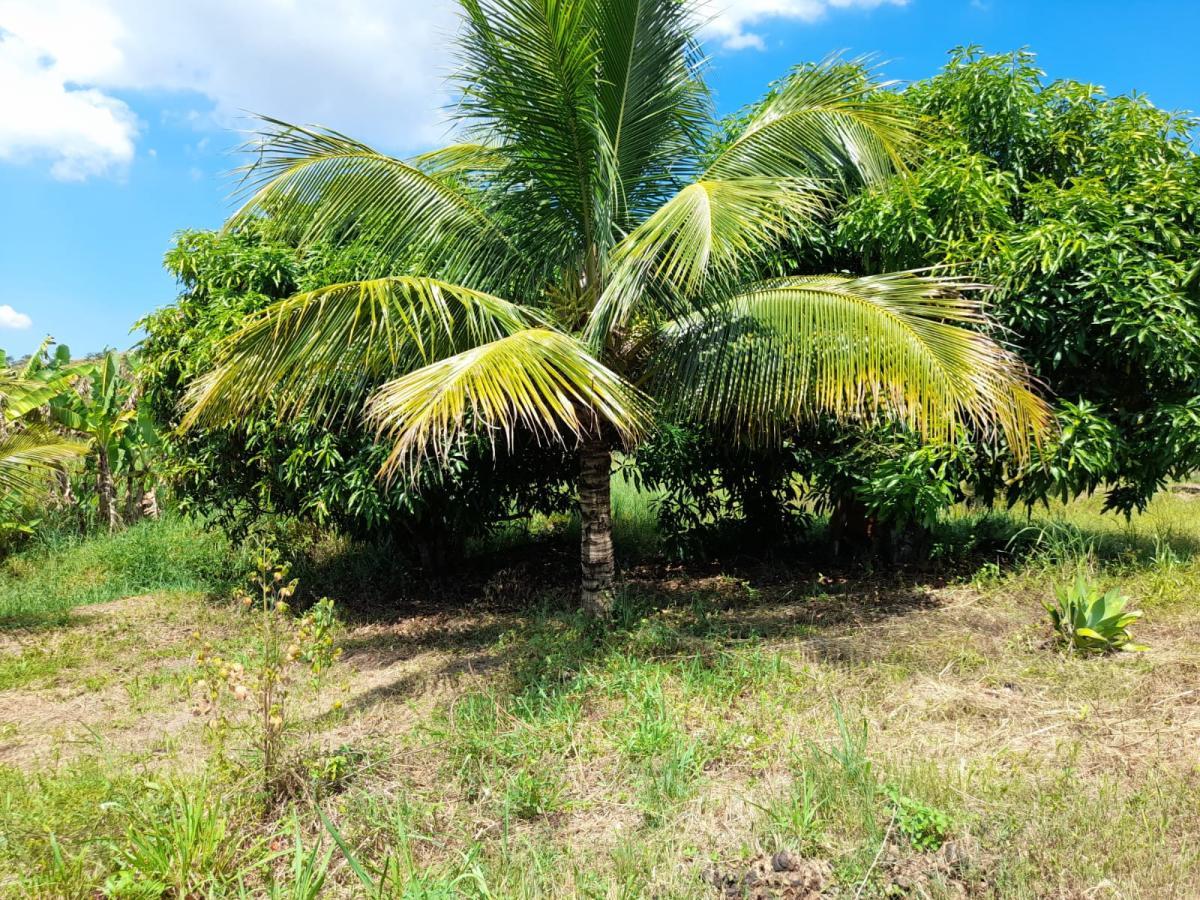 Sítio, 1 quarto, 2 hectares - Foto 11