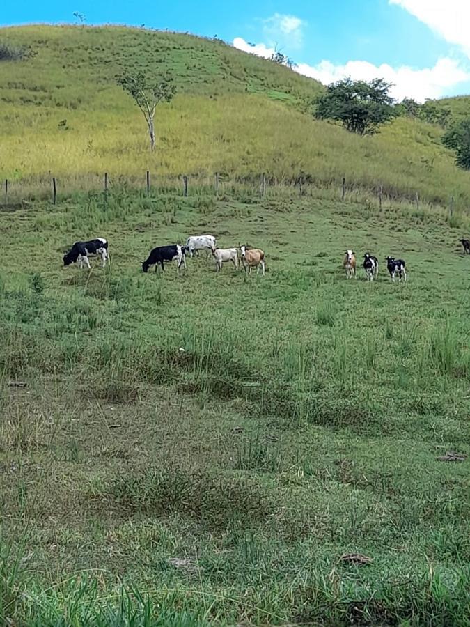 Sítio, 1 quarto, 2 hectares - Foto 17